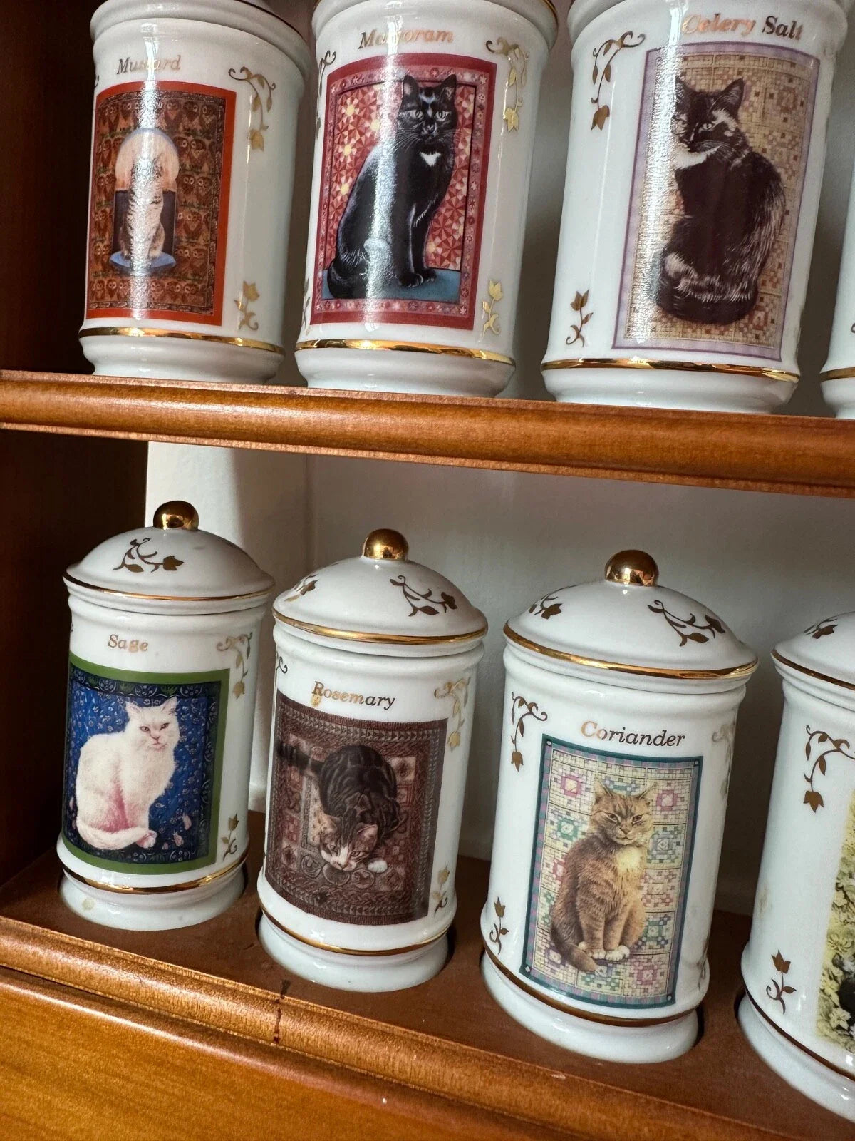 Complete Authentic 1995 Lenox Cats of Distinction Spice Jar Set with Rack